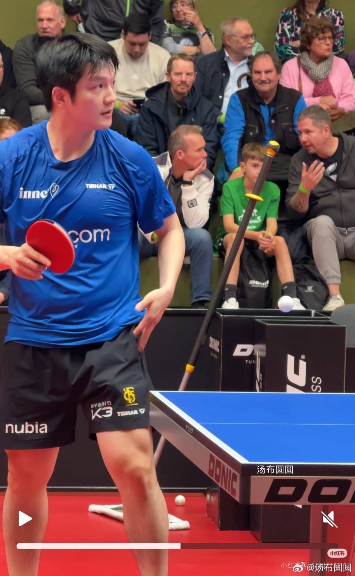 德国队碾压波兰队,樊振东统治全场 德国队碾压波兰队,樊振东统治全场