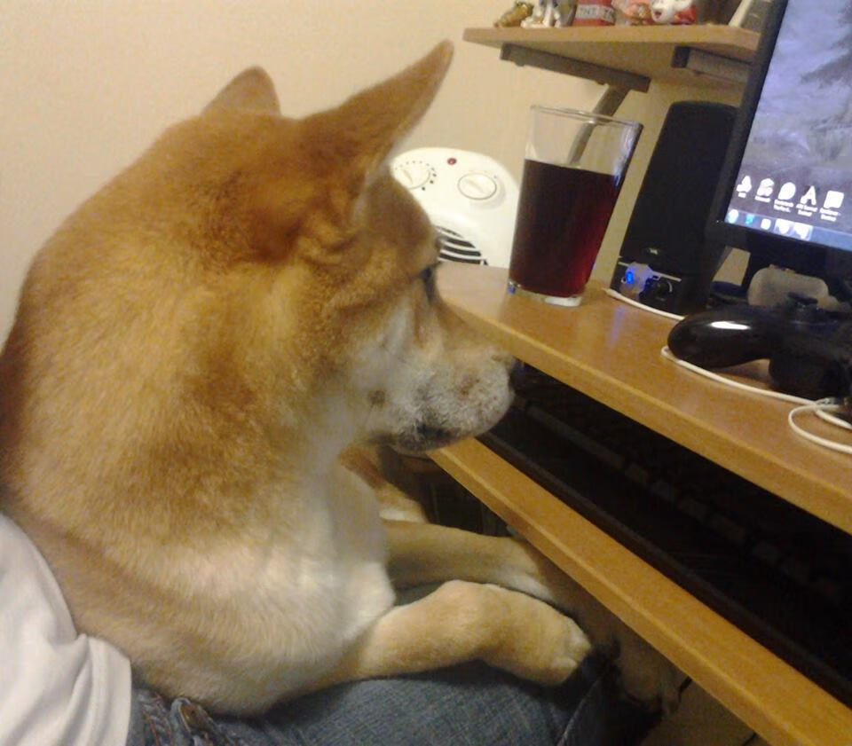 传奇诞生，格列兹曼领衔丹麦上演惊天逆转，于美加墨谱写雷恩式争冠神话