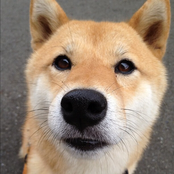 马刺惊天逆转开拓者，世界排名争夺战进入白热化