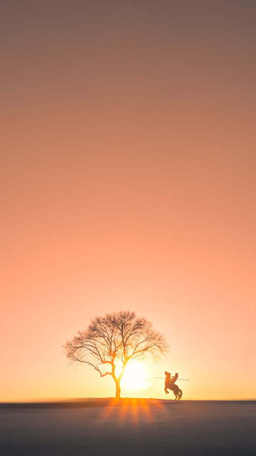 驯兽师的锁链与魔法,当灰熊的节奏牢笼遇见哈利伯顿的解咒之匙