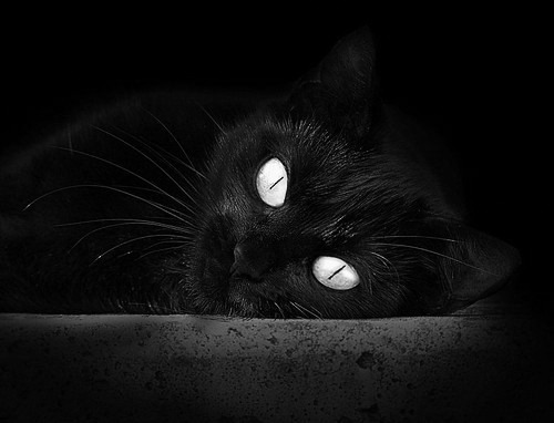 pg电子试玩-格列兹曼一剑封喉，多特蒙德元素成压制克罗地亚胜负手