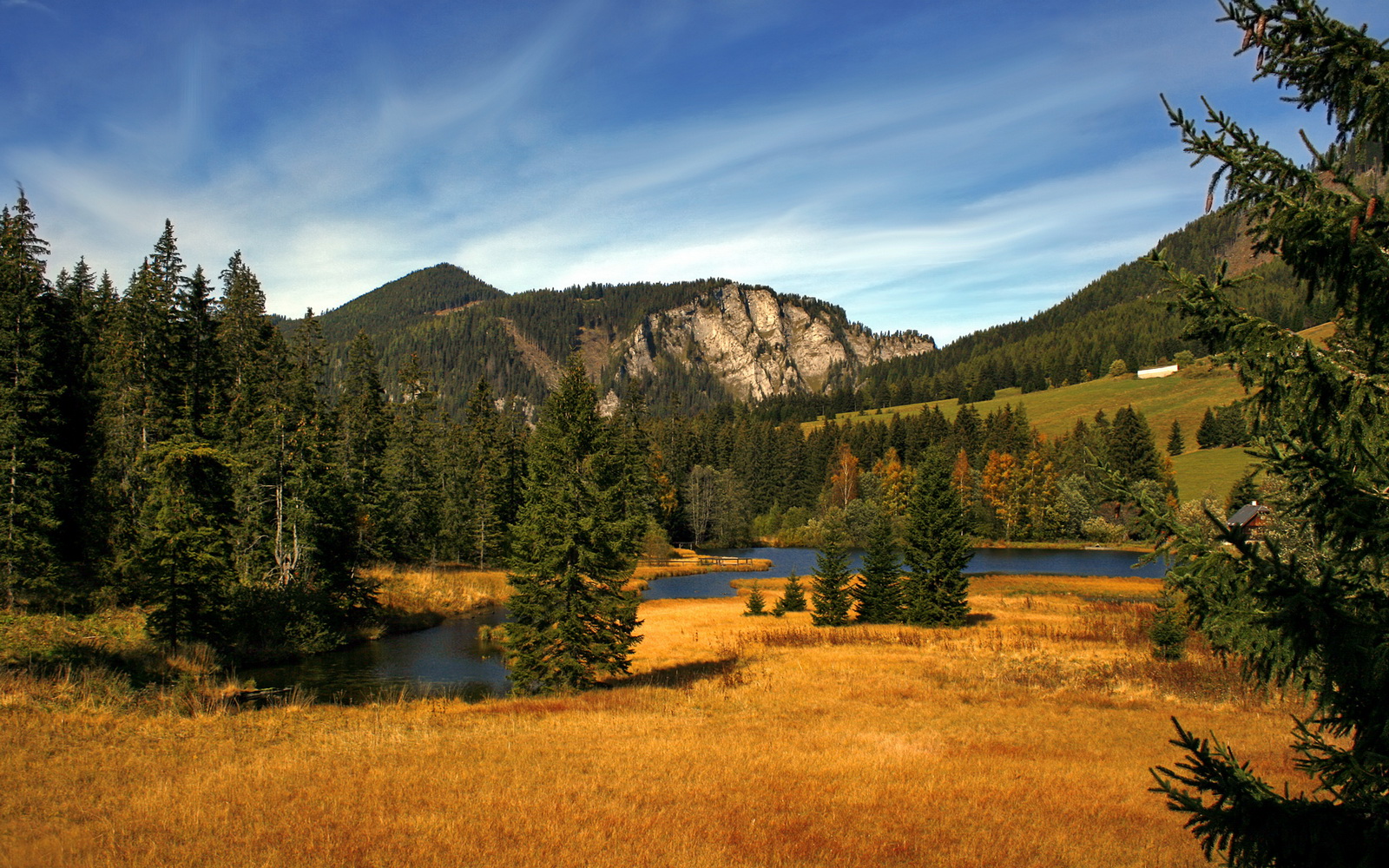 切尔西残阵出击却碾压欧冠之王，伯纳乌这夜皇马脊梁被打断了