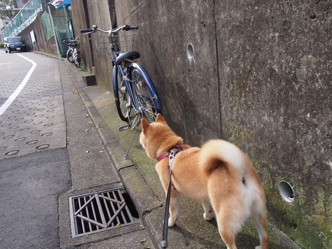 平行宇宙的抢七，詹姆斯与克莱，在最伟大的舞台证明自我