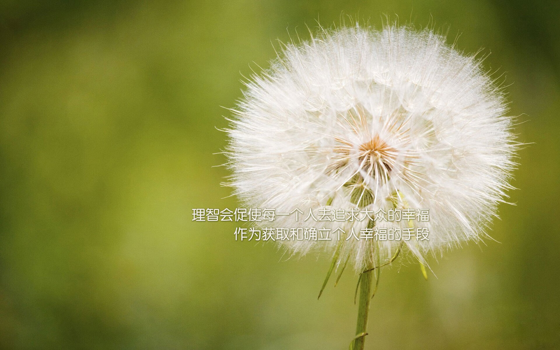 pg电子试玩-足球外交，当德里赫特一脚踏平东西方球场