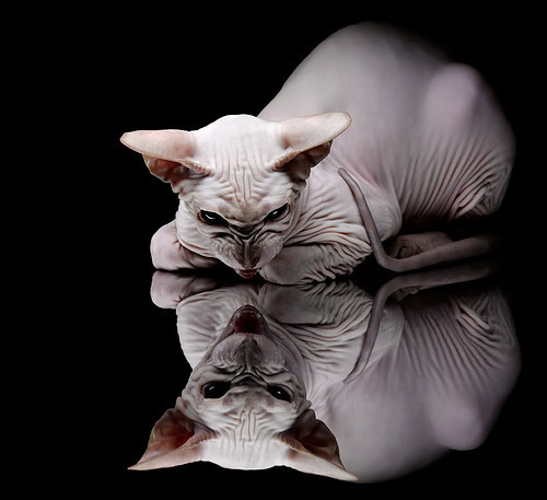 门迪一夫当关!伊拉克0-0逼平智利,关键战展现大心脏