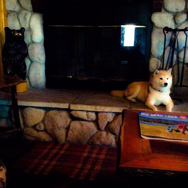 罗马城之夜,巴斯托尼爆发助意大利关键战突围厄瓜多尔