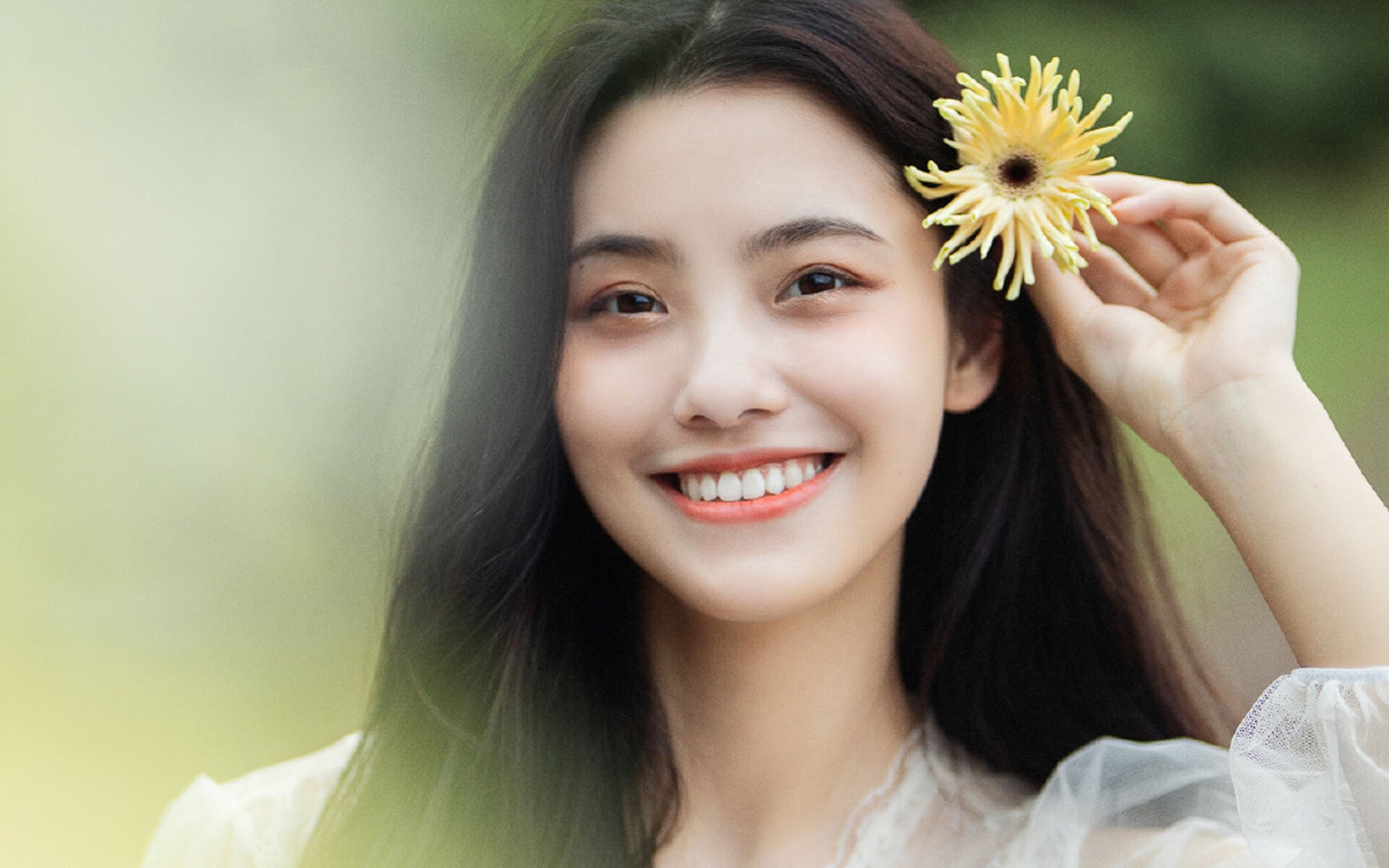 pg电子试玩网站-矛与盾的史诗，迪马利亚的锋刃与荷兰的钢铁防线