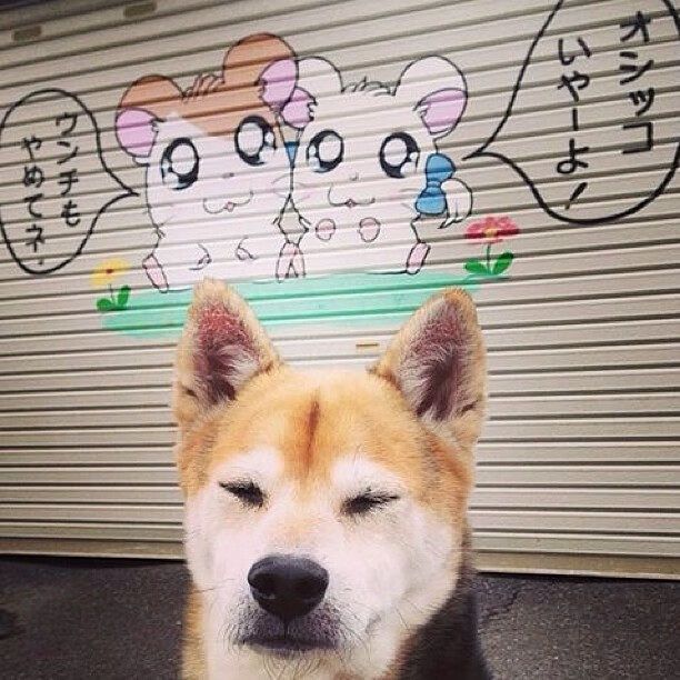 pg电子下载-蒂亚戈双重奏，攻防两端绝对统治，拉齐奥粉碎莱比锡红牛