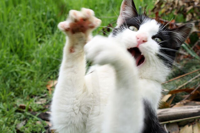 pg电子下载-重压之下见真章，杜兰特在尼克斯对阵浙江队的巅峰对决中完成爆发