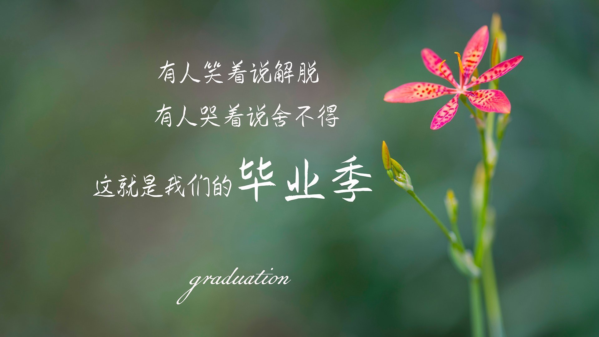 新王登基！太阳雄鹿焦点战，马克西用利拉德的方式完成终极正名