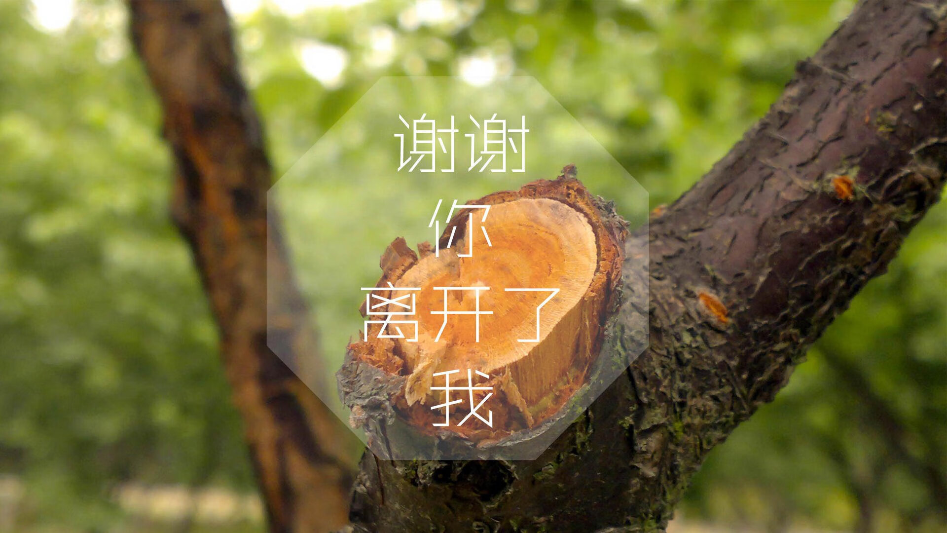 pg电子模拟器-极光耀世，冰火交锋，2026世界杯小组赛冰岛横扫丹麦，莫德里奇绝境带队逆袭