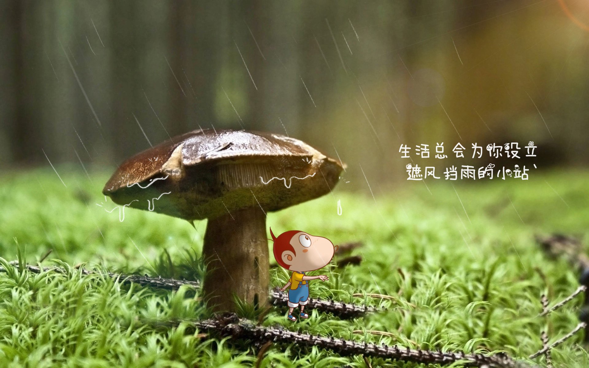 pg电子下载-2026世界杯F组关键战,乌拉圭力克伊拉克,姆巴佩引领法国队强势取胜