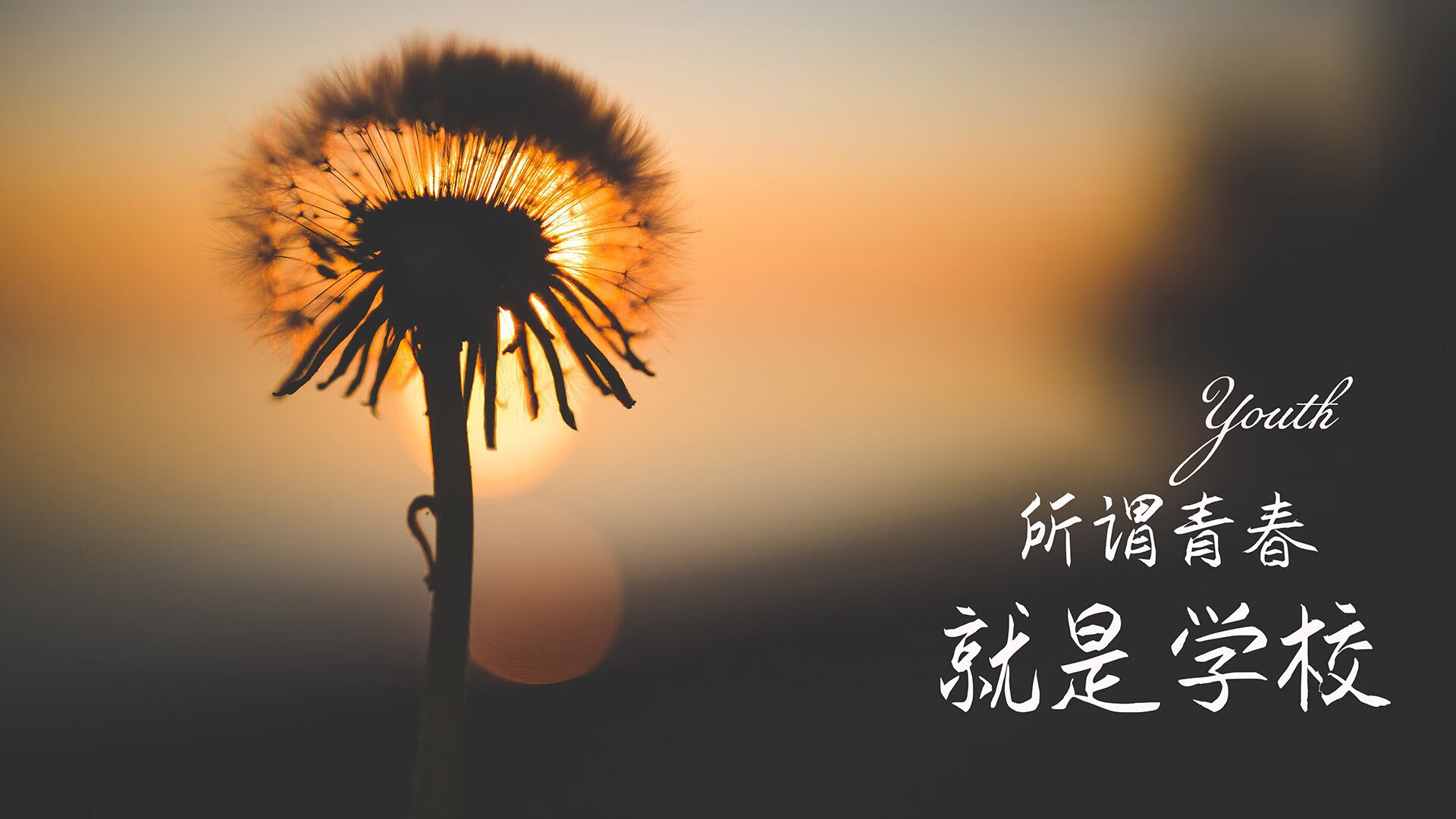 pg电子游戏-蓝衣铁骑撕裂阿尔卑斯防线，保加利亚碾压瑞士，维尼修斯星光闪耀2026